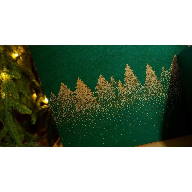 Scatola Segreto Porta Panettone Grafica Green Forest con Cordini 245x245H150 mm 5 Pezzi [f7a52725]