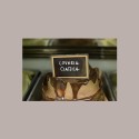 Loveria Crema Nocciola e Cacao Ideale per Gelato Yogurt Leagel 5,5 Kg [80d44178]