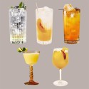 Starter Set Gin Tonic Revolution Fabbri 1 Gin 700 ml 5 Sciroppi 1 L e Set 6 Bicchieri Gin [f1fe0960]