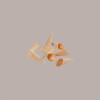 Mini Cono Stampato Senza Glutine Certificato ideale per Gelato Nocciolcono 900 gr 500 pezzi [1f3c6633]