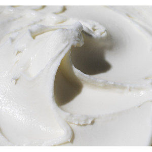 Yogurt in Polvere per Prodotti Dolciari e Gelati 1 Kg [c2622fee]