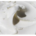 Yogurt in Polvere per Prodotti Dolciari e Gelati 1 Kg [c2622fee]