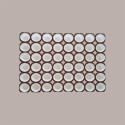 Teglia Usa e Getta Stampo in Carta Forno per Muffin Piccoli 28g 48 Porzioni 5 pezzi [bba5e6a3]