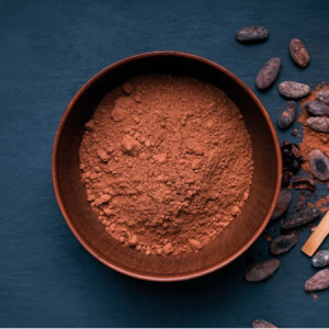 Cacao Zuccherato per Prodotti Dolciari e Gelati Pernigotti 1 kg [a85e8ea7]