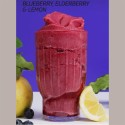 Preparato in Polvere per Granita Mirtillo Nero Sambuco e Limone Leagel 2 kg [35cc59a9]