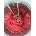 Preparato in Polvere per Granita Mirtillo Nero Sambuco e Limone Leagel 2 kg [8781dfb3]