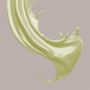 Quella White Crema Spalmabile per Gelato al Gusto Cioccolato Bianco Mec3 6 kg