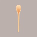 Cucchiaino Bio 12 cm Salmone in PLA Ideale per Gelato Frappè Yogurt Granita Ice Curvy S 1 kg [4f7acc7a]