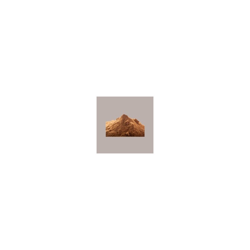 Cacao in Polvere del Gelatiere 22/24% Nestlè Perugina 1 Kg [86322757]