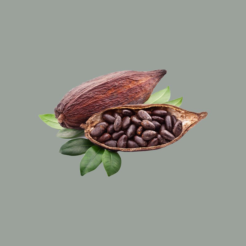 Cacao in Polvere del Gelatiere 22/24% Nestlè Perugina 1 Kg [83626049]