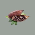 Cacao in Polvere del Gelatiere 22/24% Nestlè Perugina 1 Kg [83626049]