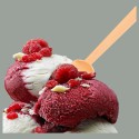 Palettina Spoon PLA BIO COMPOST Salmone Hawaii Ideale per Gelato Yogurt Granite 9,5 cm 1 kg 483 pezzi [9e843102]