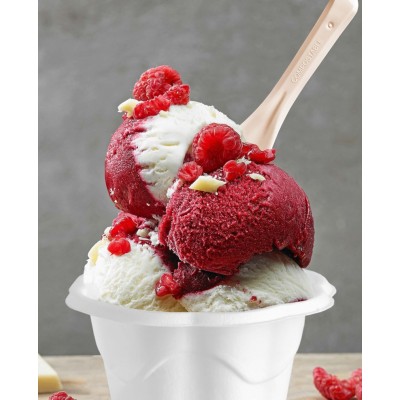 Palettina Spoon PLA BIO COMPOST Beige Hawaii Ideale per Gelato Yogurt Granite 9,5 cm 1 kg 483 pezzi [8f5a1df8]