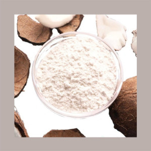 Latte di Cocco in Polvere ad Uso Alimentare Umano Senza Glutine Reire 1 Kg [9ae616ad]