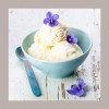 Neutro per Gelato Senza Additivi Cremodan Naturex 20 REIRE 1 Kg [0eed0e3a]