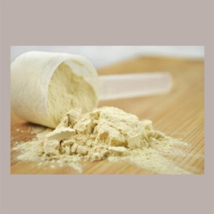 Proteine Isolate del Siero WPI 90 per Gelato REIRE 1 Kg [15c5f696]