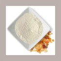 Gomma Arabica d'Acacia Addensante Emulsionante E414 Reire 1 Kg [3f05bbb0]