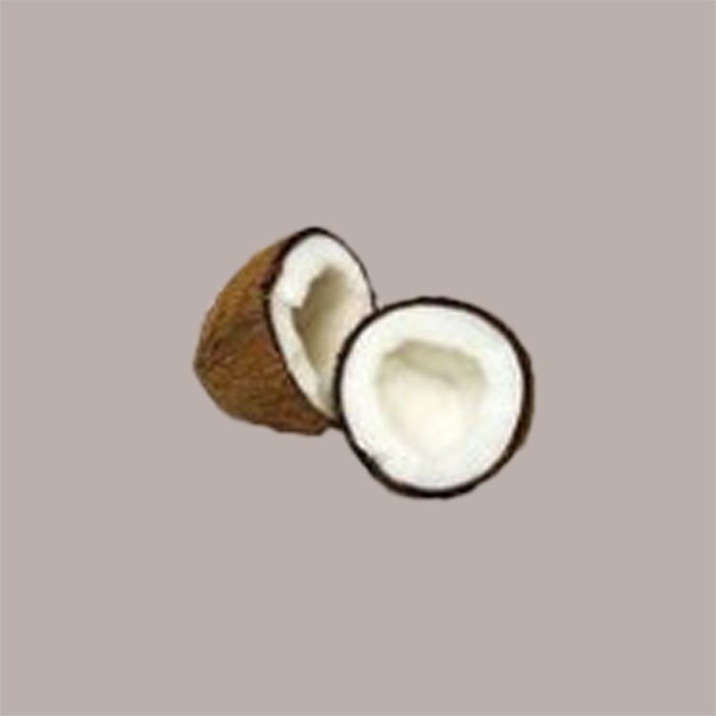Grasso di Cocco Raffinato senza Glutine REIRE per Gelateria Pasticceria 3 Kg [53da5938]