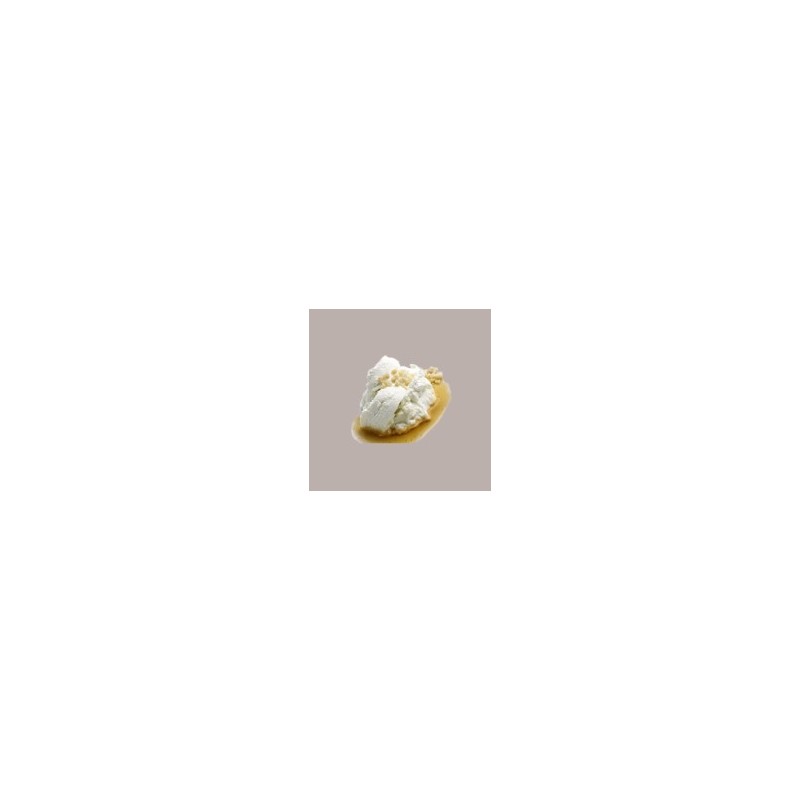 1,2 Kg Preparato in Polvere Easy al Gusto di Ricotta Gelato Leagel [9a7150cd]