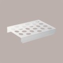 Espositore Plexiglass per Stampi Ghiaccioli Icetube Fruitube Calippo 21 Sedi per Vaschetta Gelato 250x360mm 1 Pezzo [8b74b2ab]