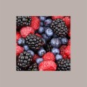Purea di Frutta 100% Frutti di Bosco Conservazione a Temperatura Ambiente 1,5 Kg [4ddad16f]
