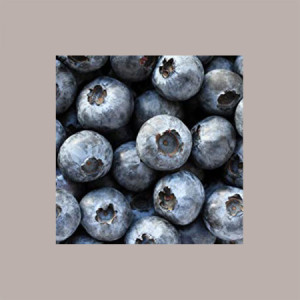 Purea di frutta 100% Gusto Mirtillo Consevazione a Temperatura Ambiente 1,5 Kg