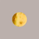 Copertura Crunchy Mango ideale per Stecco Biscotto Gelato Stickaway Leagel 1,2 Kg [5f453826]