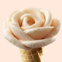 Easy al Gusto Pesca Rosa e Limone Preparato in Polvere per Gelato Leagel 1,25 Kg [924898d0]