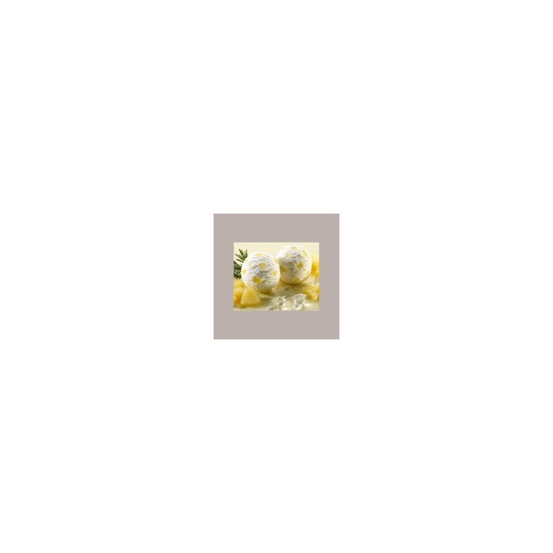 Pasta concentrata Gusto di Ananas Ideale per Gelato alla Frutta Leagel 3,5 Kg [0e3ec873]