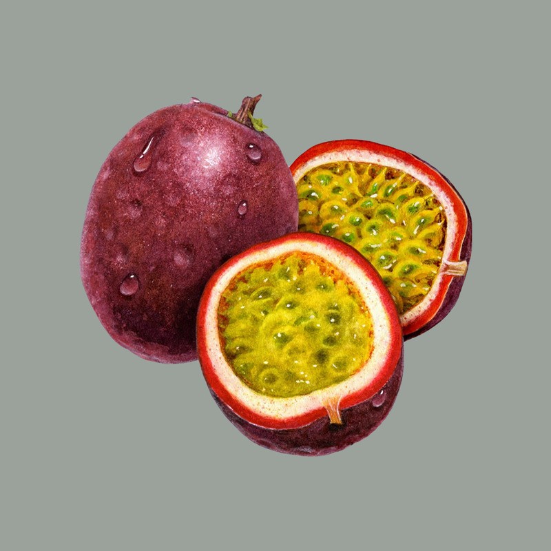Pasta concentrata Gusto di Maracuja Ideale per Gelato alla Frutta Leagel 3,5 Kg [066cb8a0]
