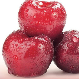 Amarene allo Sciroppo Ciliegia Precandita Leagel 3,5 Kg [ef9a04b0]