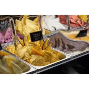 Easy al Gusto Mango Pesca e Semi di Chia Preparato in Polvere per Gelato Leagel 1,25 Kg