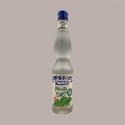 Sciroppo Concentrato per Granita Gusto Menta Bio Mixybar Fabbri 740 gr [133cd0d1]