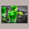 Sciroppo Concentrato per Granita Gusto Menta Bio Mixybar Fabbri 740 gr [7d0752d8]