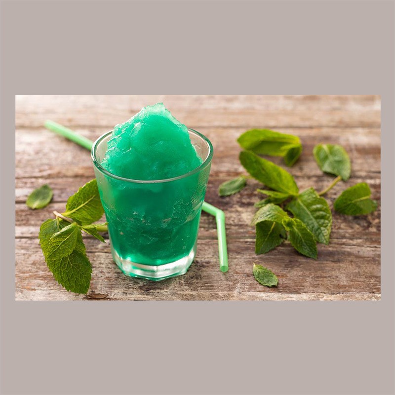 Sciroppo Concentrato per Granita Gusto Menta Bio Mixybar Fabbri 740 gr [785715c6]