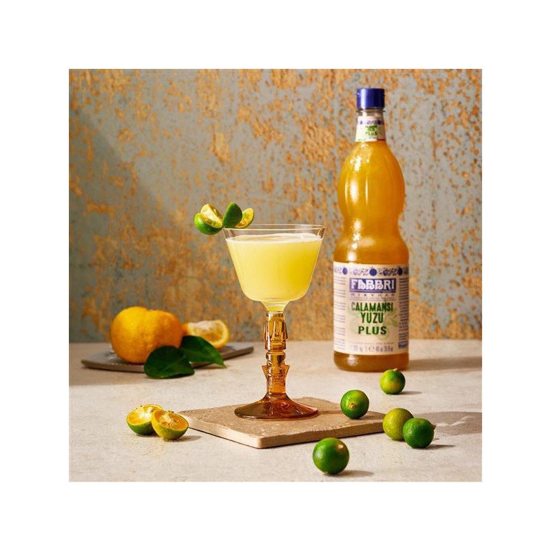 Sciroppo Concentrato per Granita Gusto Calamansi Yuzu Plus Mixybar Fabbri 1,3 Kg [d77660ec]