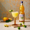 Sciroppo Concentrato per Granita Gusto Calamansi Yuzu Plus Mixybar Fabbri 1,3 Kg [d77660ec]