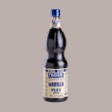 Sciroppo Concentrato per Granita Gusto Mirtillo Plus Mixybar Fabbri 1,3 Kg [abea6c16]