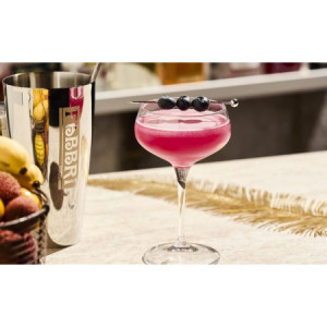 Sciroppo Concentrato per Granita Gusto Mirtillo Plus Mixybar Fabbri 1,3 Kg