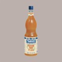 Sciroppo Concentrato per Granita Gusto Passion Fruit Plus Mixybar Fabbri 1,3 Kg [a3b81cc5]