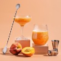 Sciroppo Concentrato per Granita Gusto Pesca Gialla Plus Mixybar Fabbri 1,3 Kg [74c7eecb]