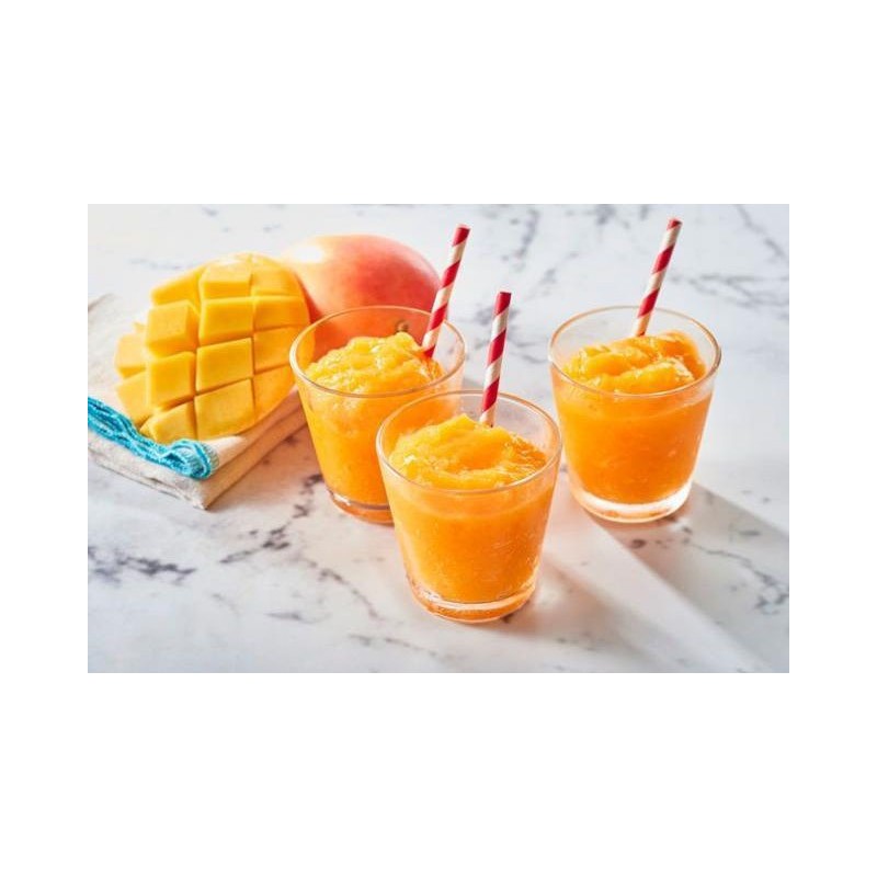 Sciroppo Concentrato per Granita Gusto Mango Alphonso Plus Mixybar Fabbri 1,3 Kg [4476f7ce]