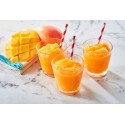 Sciroppo Concentrato per Granita Gusto Mango Alphonso Plus Mixybar Fabbri 1,3 Kg [4476f7ce]
