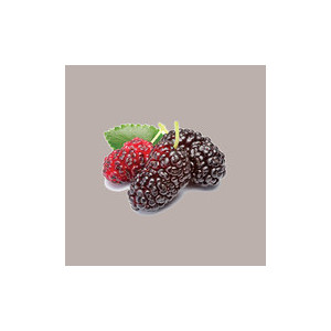 Polpa di Frutta Gusto More Gelso ideale per Gelato Smothies Fruit Cub3 Leagel 1,55 Kg [020617d2]