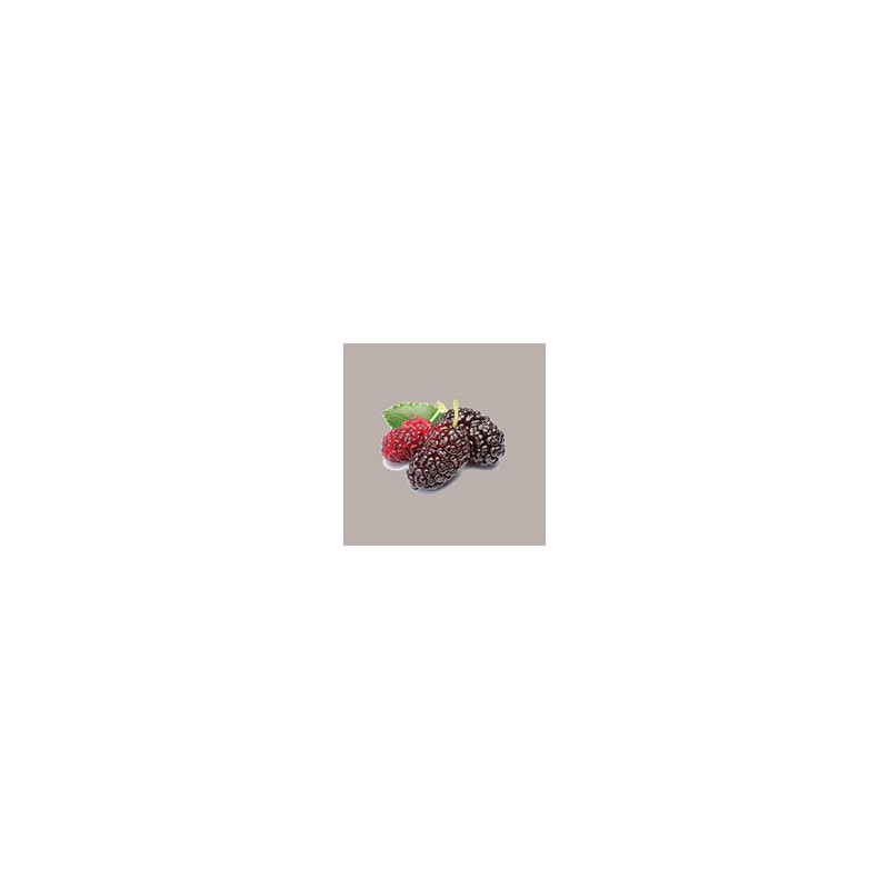 Polpa di Frutta Gusto More Gelso ideale per Gelato Smothies Fruit Cub3 Leagel 1,55 Kg [020617d2]