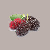 Polpa di Frutta Gusto More Gelso ideale per Gelato Smothies Fruit Cub3 Leagel 1,55 Kg [020617d2]