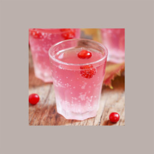 Sciroppo per Granita Gusto Rosa Toschi 1,320 kg