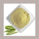 Farina Semi Guar E412 Addensante Stabilizzante Gelato 1 Kg [760348e1]