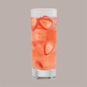 Sciroppo Concentrato per Granita Gusto Litchi Mixybar Fabbri 1,3 Kg [0d621b9d]
