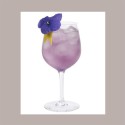 Sciroppo Concentrato per Granita Gusto Violetta Mixybar Fabbri 1,3 Kg [98251098]